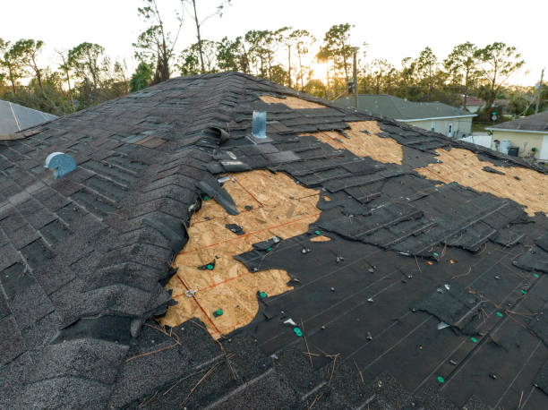 Reliable Immokalee, FL Roofing Service Solutions