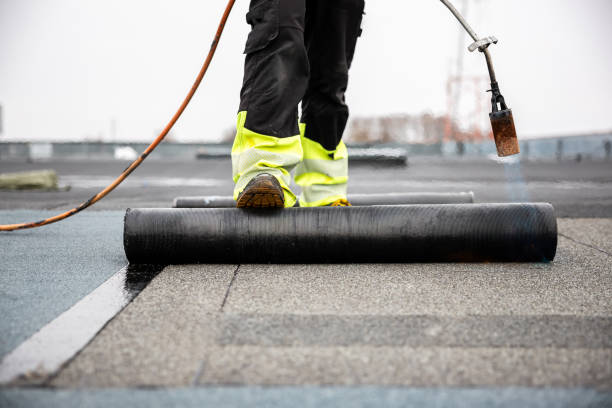 Best Solar Panel Roofing Installation  in Immokalee, FL